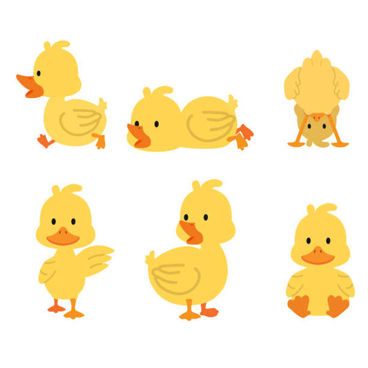 Little Yellow Ducks (Mystery Scoops)